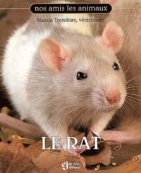 le rat