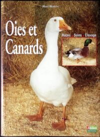 les oies et canards