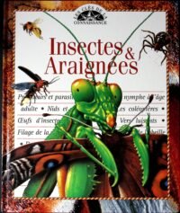 les insectes et les araignees