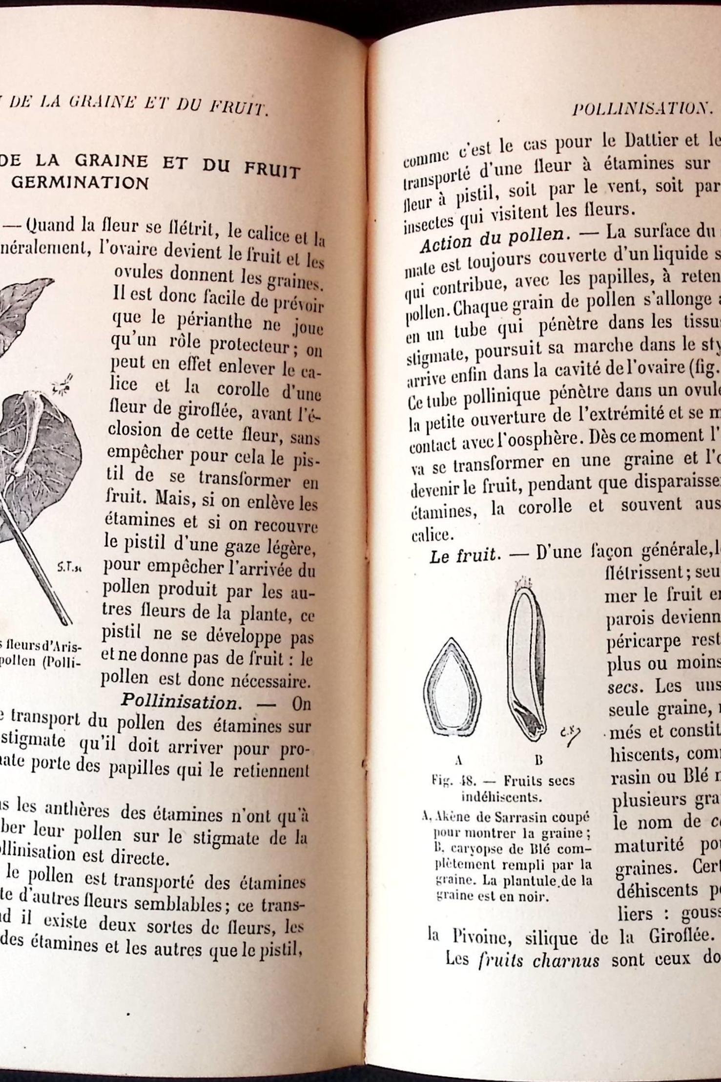 cours dhistoire naturelle pour lenseignement primaire superieur photo 5 cours dhistoire naturelle pour lenseignement primaire superieur photo 5