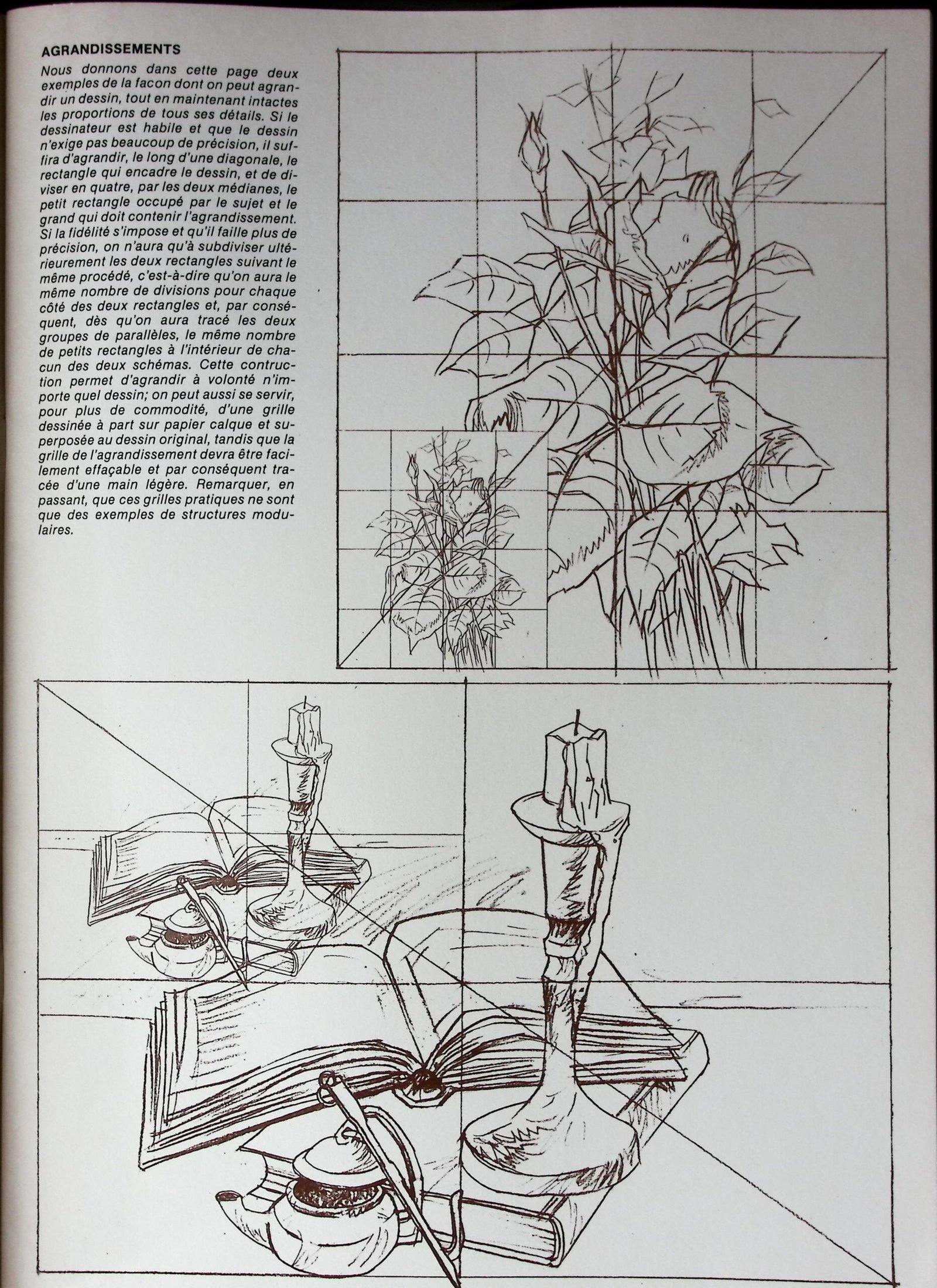 les bases du dessin — 1 photo 3 les bases du dessin — 1 photo 3
