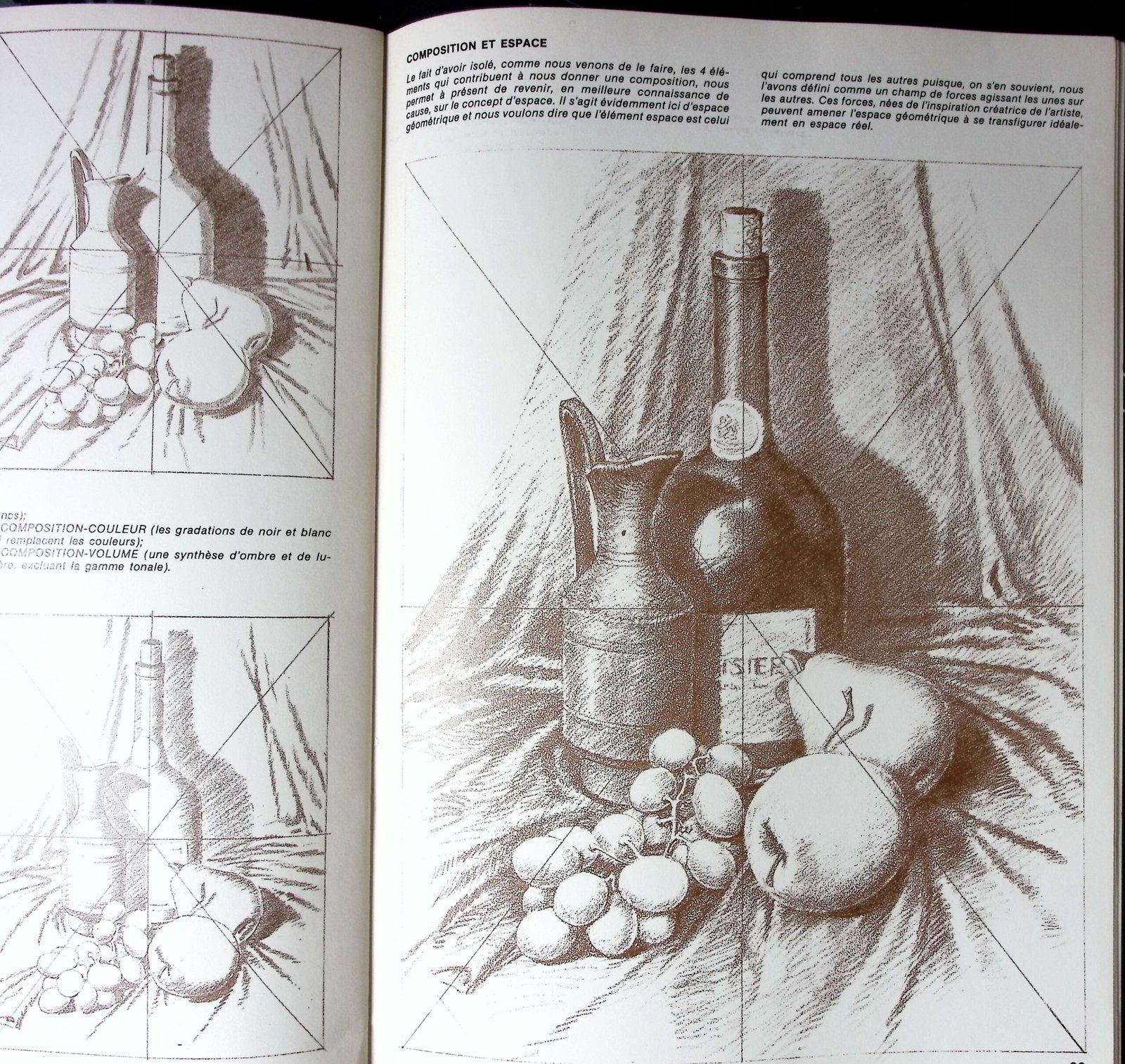les bases du dessin — 1 photo 5 les bases du dessin — 1 photo 5