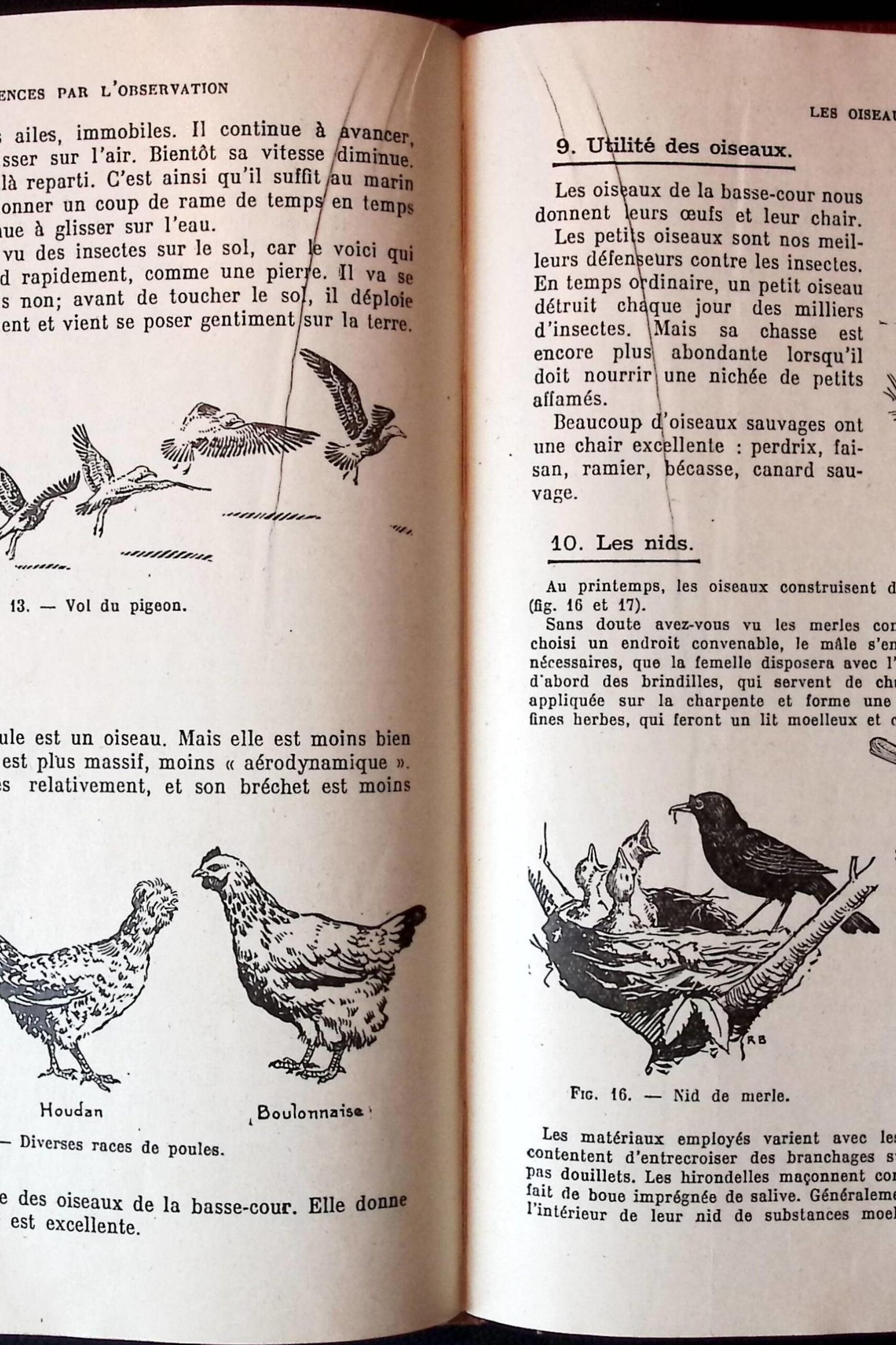 les sciences par lobservation photo 4 les sciences par lobservation photo 4