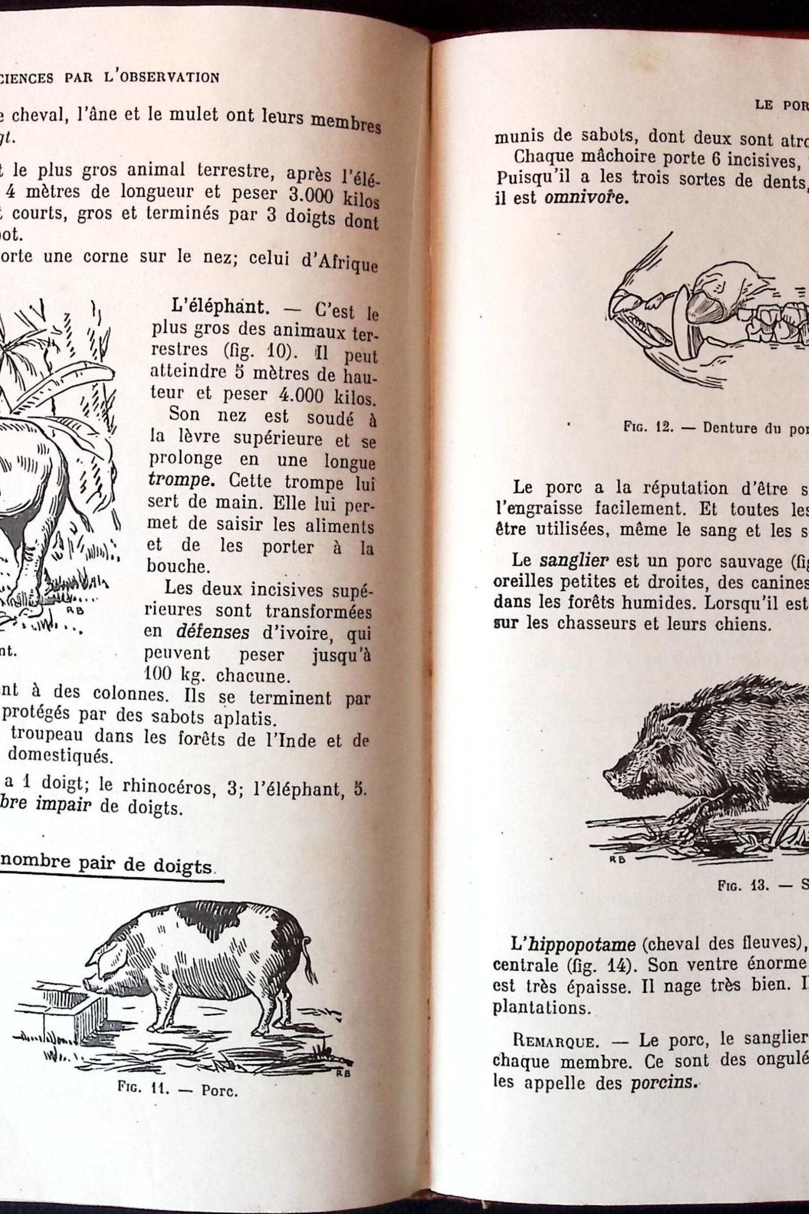 les sciences par lobservation photo 5 les sciences par lobservation photo 5
