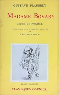 madame bovary moeurs de province