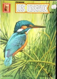 peindre les oiseaux